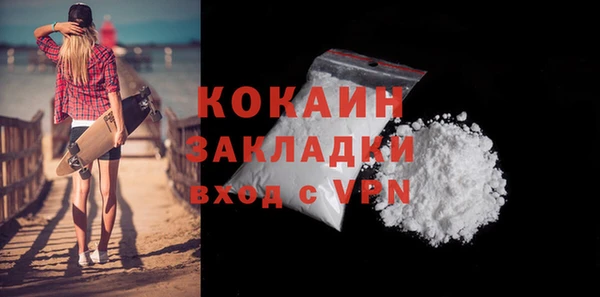 индика Абаза