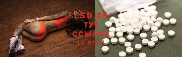 индика Абаза