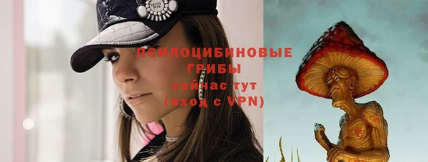 PSILOCYBIN Приозерск