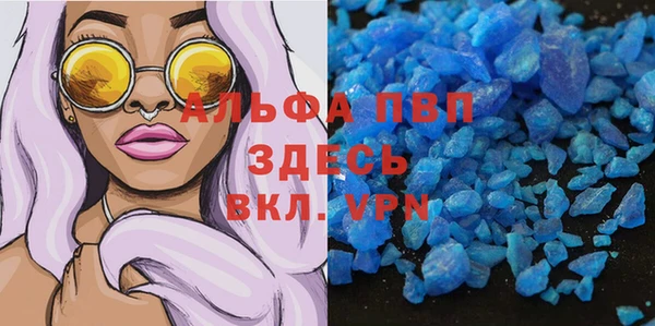 индика Абаза