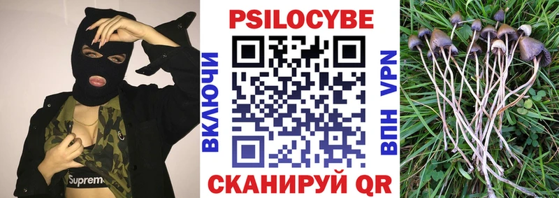 Псилоцибиновые грибы Cubensis  продажа наркотиков  Нолинск 